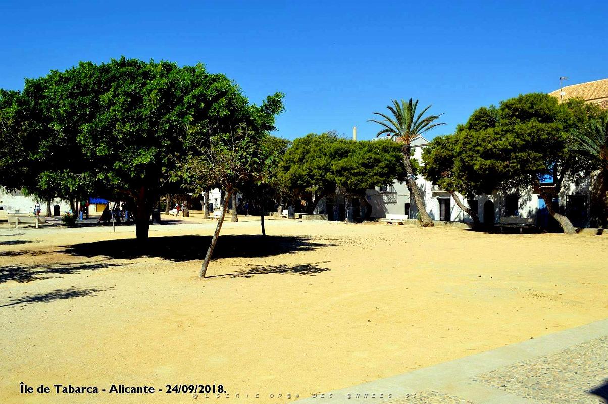 21 ALICANTE L ILE DE TABARCA (97).JPG
